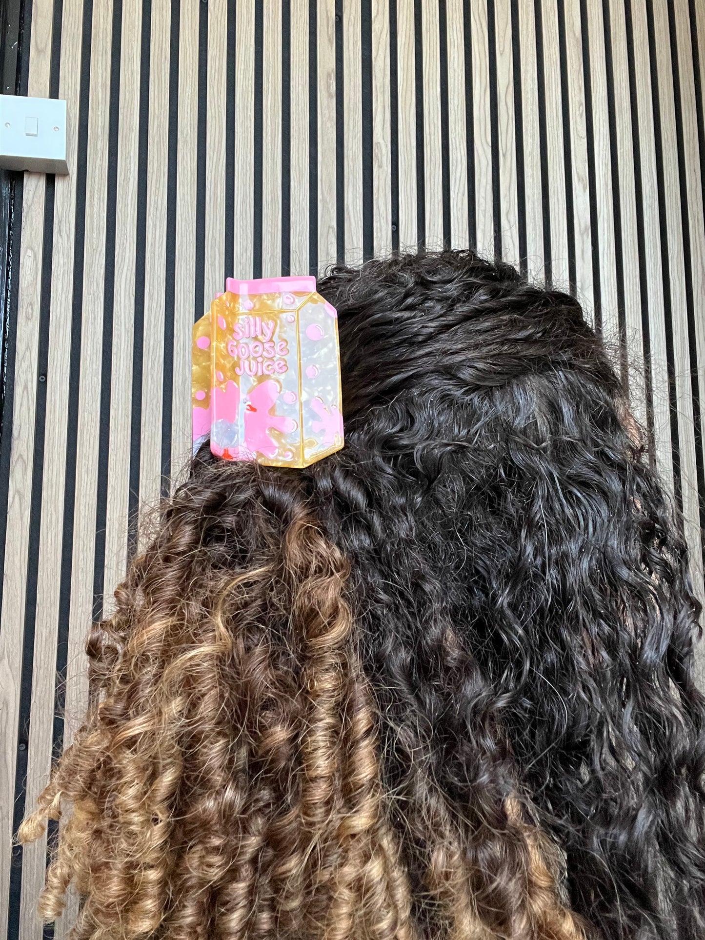 Silly Goose Hair Claw