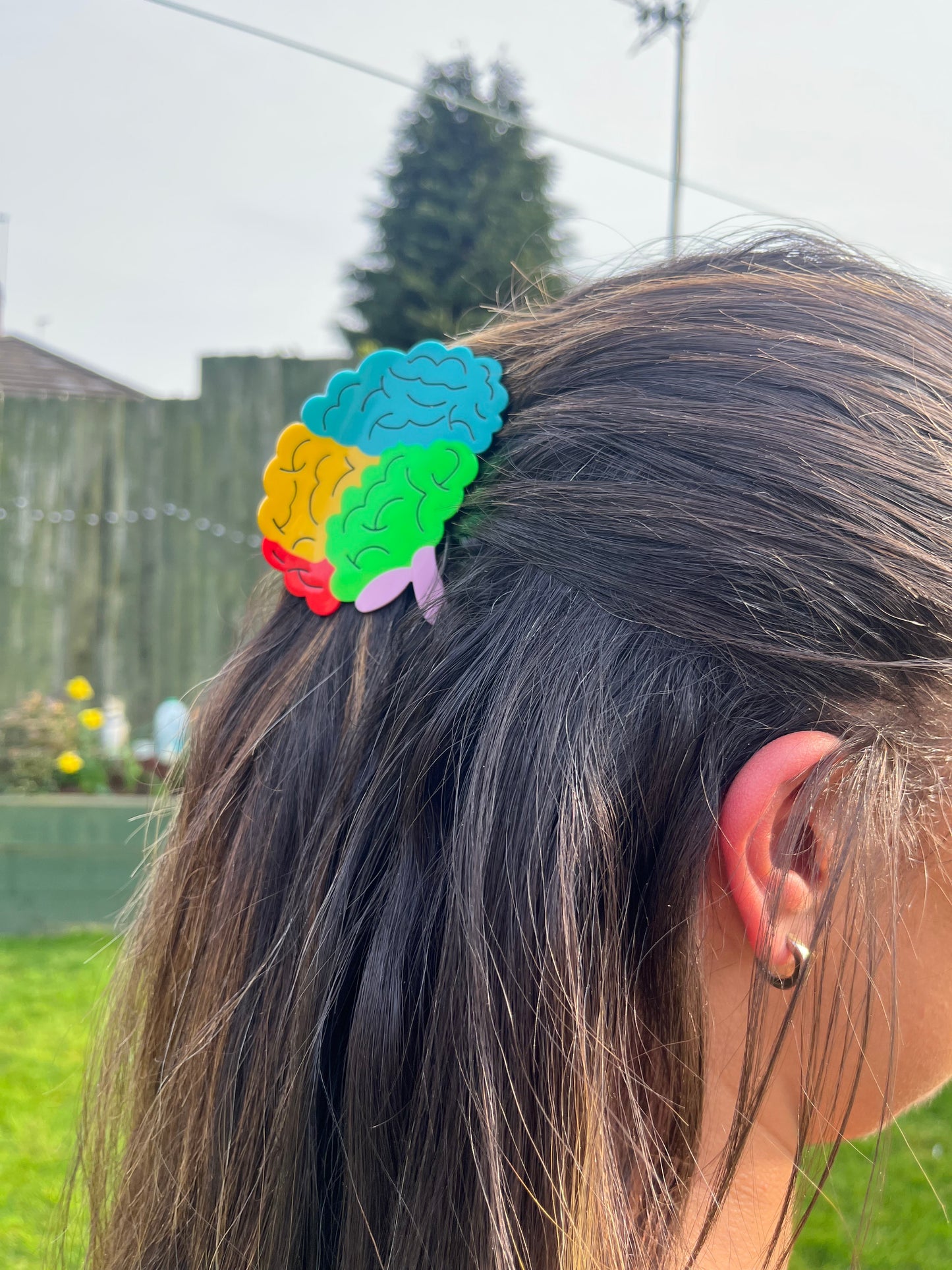 Brain Hair Claw